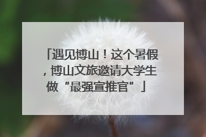遇见博山！这个暑假，博山文旅邀请大学生做“最强宣推官”