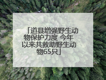 道县增强野生动物保护力度 今年以来共救助野生动物65只