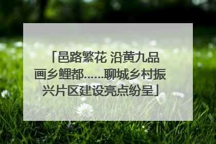 邑路繁花 沿黄九品 画乡鲤都……聊城乡村振兴片区建设亮点纷呈