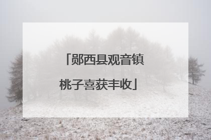 郧西县观音镇桃子喜获丰收