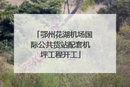 鄂州花湖机场国际公共货站配套机坪工程开工