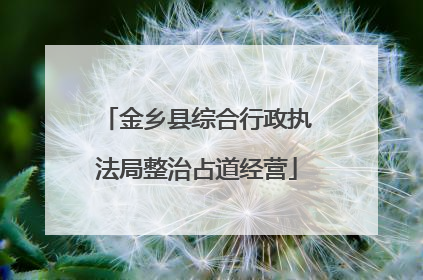 金乡县综合行政执法局整治占道经营