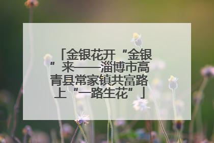 金银花开“金银”来——淄博市高青县常家镇共富路上“一路生花”