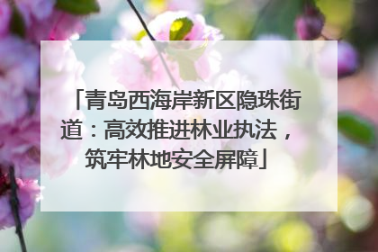 青岛西海岸新区隐珠街道：高效推进林业执法，筑牢林地安全屏障