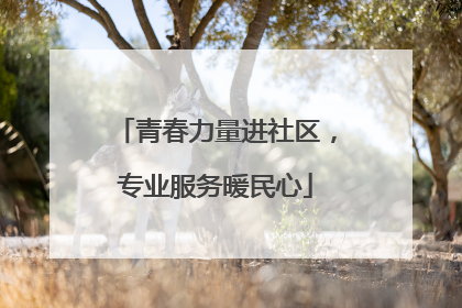 青春力量进社区，专业服务暖民心