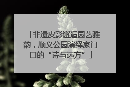 非遗皮影邂逅园艺雅韵，顺义公园演绎家门口的“诗与远方”