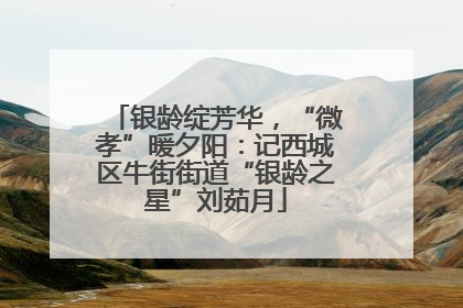 银龄绽芳华，“微孝”暖夕阳：记西城区牛街街道“银龄之星”刘茹月