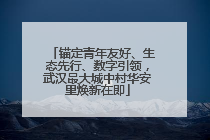 锚定青年友好、生态先行、数字引领，武汉最大城中村华安里焕新在即