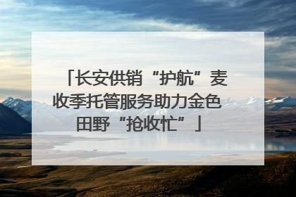 长安供销“护航”麦收季托管服务助力金色田野“抢收忙”