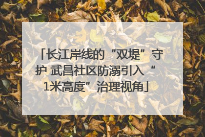 长江岸线的“双堤”守护 武昌社区防溺引入“1米高度”治理视角