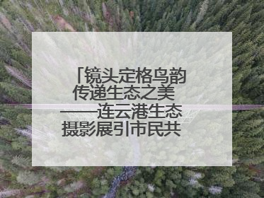 镜头定格鸟韵 传递生态之美——连云港生态摄影展引市民共赏自然之魅