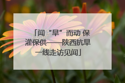 闻“旱”而动 保灌保供——陕西抗旱一线走访见闻