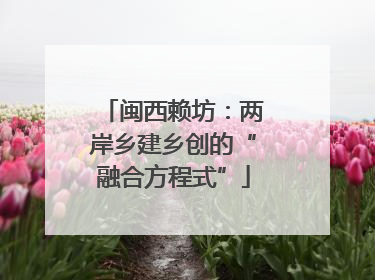 闽西赖坊：两岸乡建乡创的“融合方程式”
