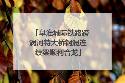 阜淮城际铁路跨涡河特大桥钢混连续梁顺利合龙