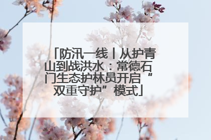 防汛一线丨从护青山到战洪水：常德石门生态护林员开启“双重守护”模式