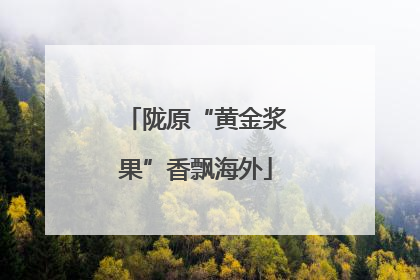 陇原“黄金浆果”香飘海外