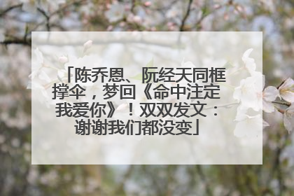 陈乔恩、阮经天同框撑伞，梦回《命中注定我爱你》！双双发文：谢谢我们都没变