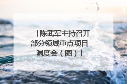 陈武军主持召开部分领域重点项目调度会（图）