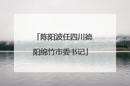 陈阳波任四川德阳绵竹市委书记