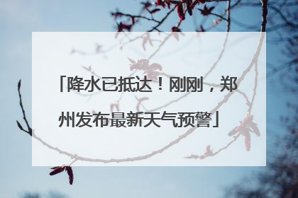 降水已抵达！刚刚，郑州发布最新天气预警