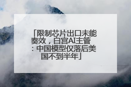 限制芯片出口未能奏效，白宫AI主管：中国模型仅落后美国不到半年