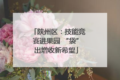 陕州区：技能竞赛进果园 “袋”出增收新希望