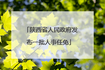 陕西省人民政府发布一批人事任免