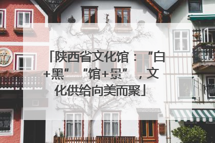 陕西省文化馆：“白+黑”“馆+景”，文化供给向美而聚