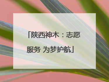 陕西神木：志愿服务 为梦护航