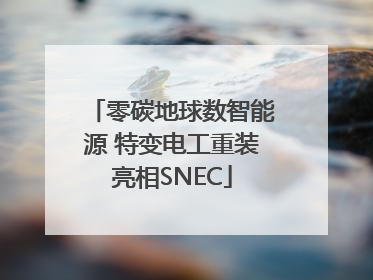 零碳地球数智能源 特变电工重装亮相SNEC