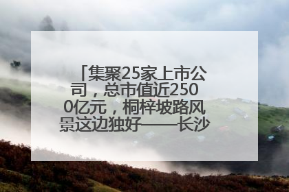 集聚25家上市公司，总市值近2500亿元，桐梓坡路风景这边独好——长沙有条“上市路”
