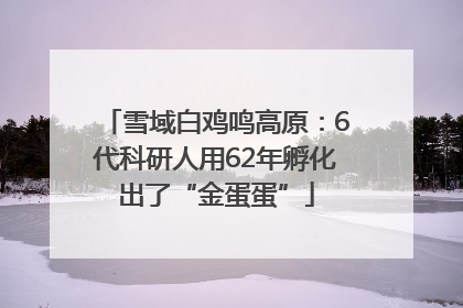 雪域白鸡鸣高原：6代科研人用62年孵化出了“金蛋蛋”