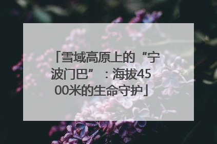 雪域高原上的“宁波门巴”：海拔4500米的生命守护