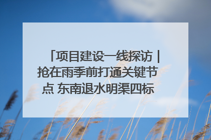 项目建设一线探访｜抢在雨季前打通关键节点 东南退水明渠四标段项目顺利完工