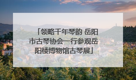 领略千年琴韵 岳阳市古琴协会一行参观岳阳楼博物馆古琴展