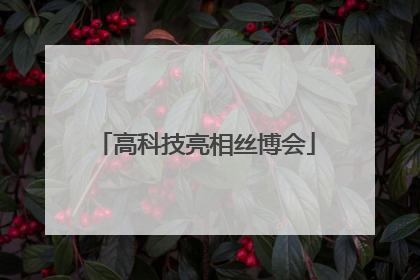 高科技亮相丝博会