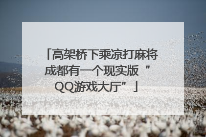 高架桥下乘凉打麻将 成都有一个现实版“QQ游戏大厅”