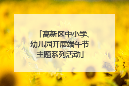 高新区中小学、幼儿园开展端午节主题系列活动