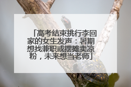 高考结束挑行李回家的女生发声：暑期想找兼职或摆摊卖凉粉，未来想当老师