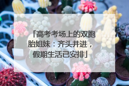 高考考场上的双胞胎姐妹：齐头并进，假期生活已安排