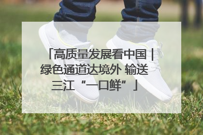 高质量发展看中国｜绿色通道达境外 输送三江“一口鲜”