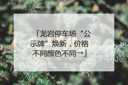 龙岩停车场“公示牌”焕新，价格不同颜色不同→