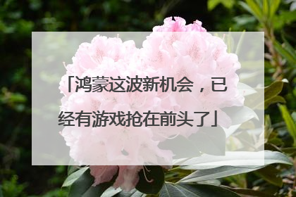 鸿蒙这波新机会，已经有游戏抢在前头了