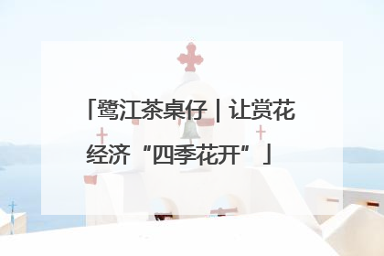 鹭江茶桌仔｜让赏花经济“四季花开”