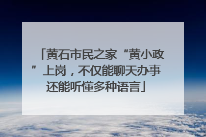 黄石市民之家“黄小政”上岗，不仅能聊天办事还能听懂多种语言