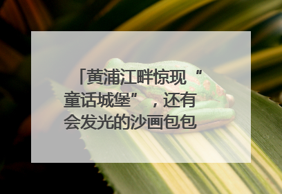 黄浦江畔惊现“童话城堡”，还有会发光的沙画包包？｜宝藏小店