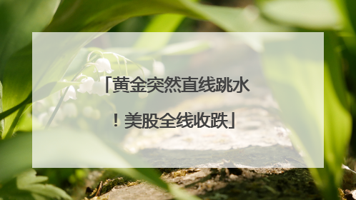 黄金突然直线跳水！美股全线收跌