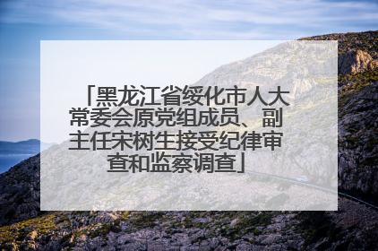 黑龙江省绥化市人大常委会原党组成员、副主任宋树生接受纪律审查和监察调查