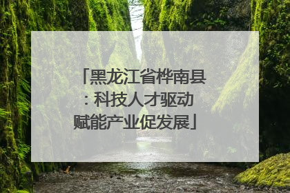 黑龙江省桦南县：科技人才驱动 赋能产业促发展