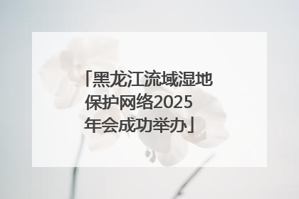 黑龙江流域湿地保护网络2025年会成功举办